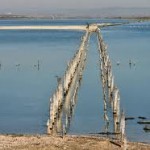 ezero 150x150 Приключва изграждането на остров за гнездене на редки птици в Поморийско езеро