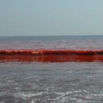 azovsko 150x150 Азовско море почервеня