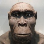homo rudolfensis a992cbbf3a1 150x150 Учени откриха нов човешки вид