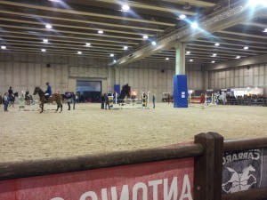 32 300x225 Изявени български състезатели се включват в коледен турнир по конен спорт в Атина