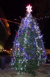 elha3 195x300 Коледната елха в Поморие заблестя заедно с главната улица /видео/