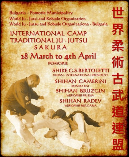 ju-jitsu2